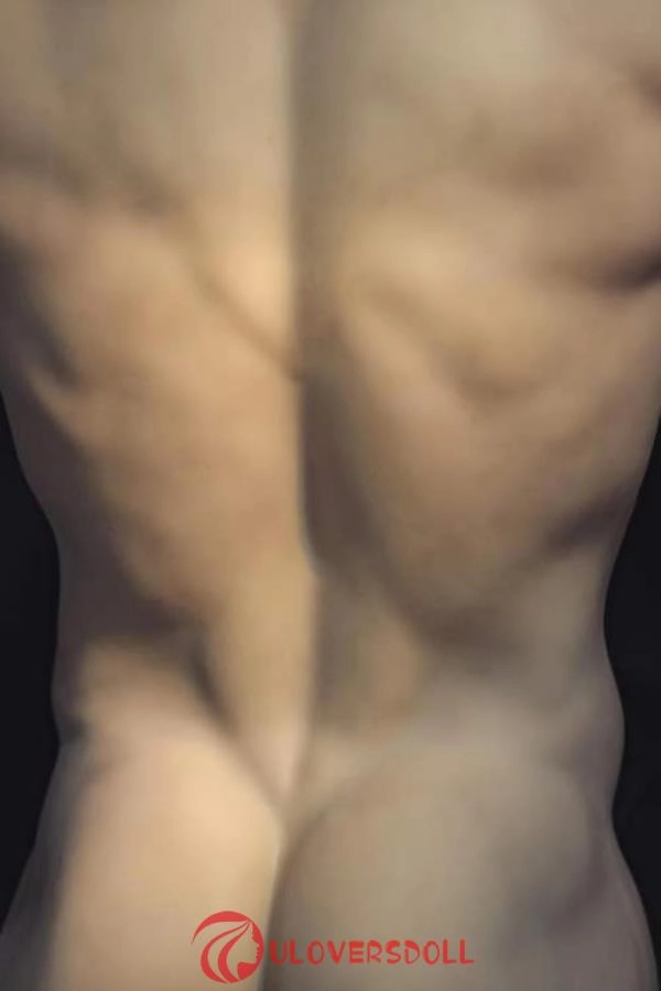 Realistic Male Torso Sexdolls