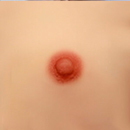 2cm Areola Size