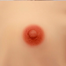 3cm Areola Size