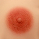 7cm Areola Size