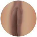 Dark Brown Labia Color