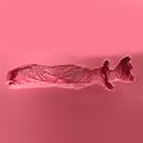 #6(12cm) Vaginal Texturea