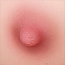 Pink Areola