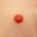 2cm Areola Size