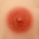 7cm Areola Size