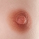 Red Brown Areola