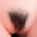 #1 Pubic Hair