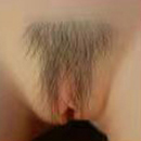 #5 Pubic Hair