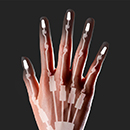 Anti-puncture Fingers Finger Skeleton