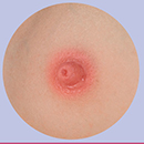 Light Pink Areola