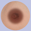 5cm Areola Size