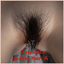 Exquisite Public Hair Pubic Hair