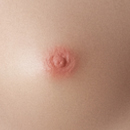 #16 Areola